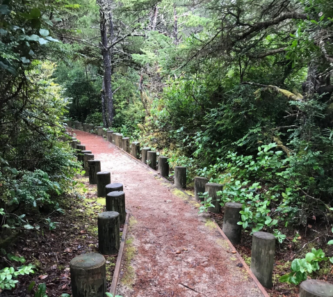 This 3-Mile Hike In Oregon Takes You Through An Enchanting Forest﻿