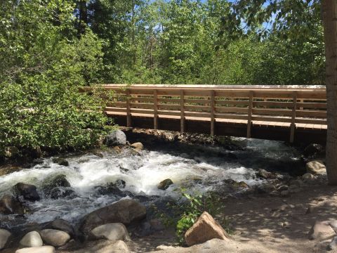 This 4-Mile Hike In Nevada Takes You Through An Enchanting Forest