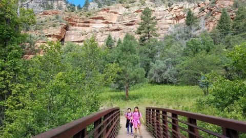 This 7-Mile Hike In Arizona Takes You Through An Enchanting Forest