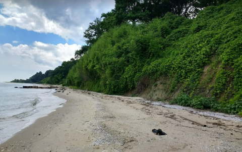 Search For Shark Teeth At This One Beautiful Beach In Maryland