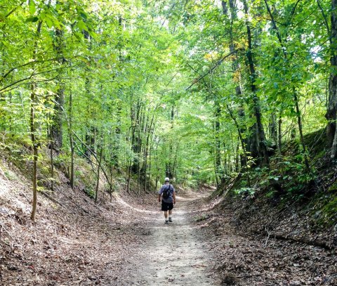 Step Back Into History Along This Arkansas Portion Of The Trail Of Tears