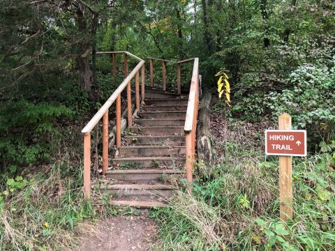 This 5-Mile Hike In Michigan Takes You Through An Enchanting Forest