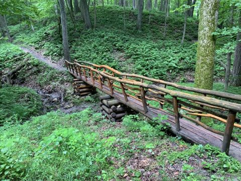 This 2-Mile Hike In Iowa Takes You Through An Enchanting Forest