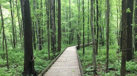 Delaware's Most Haunted Trail Is Also One Of The Most Scenic Hikes In The State