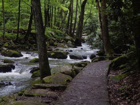 This Shaded Hike To A Waterfall Swimming Hole In Virginia Is The Summer Adventure We All Need