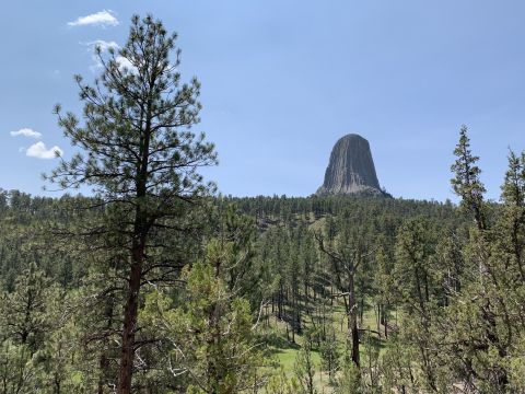 This 1.5-Mile Hike In Wyoming Takes You Through An Enchanting Forest