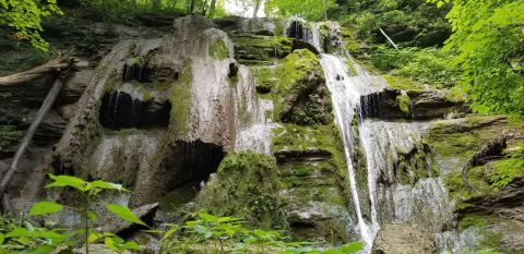 The Hike To This Pretty Little Virginia Waterfall Is Short And Sweet