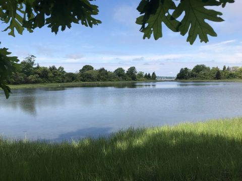 This Easy Hike In Rhode Island Is Less Than Two Miles And Takes You To A Beautiful River