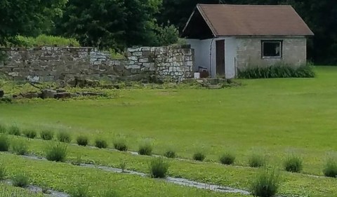 Get Lost In This Beautiful Lavender Farm Near Pittsburgh