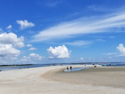 This Little Known Island In North Carolina Is Perfect For Finding Loads Of Sand Dollars