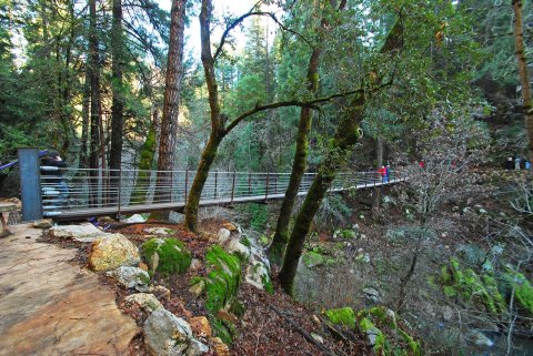 This Suspension Bridge Hike In Northern California Leads You Into A Natural Wonderland