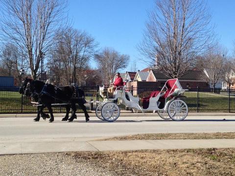 Take A Carriage Ride Through Wine Country For A Truly Unique Missouri Experience