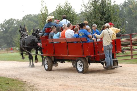 The Mississippi Pecan Festival Offers Old-Fashioned Fun For The Whole Family