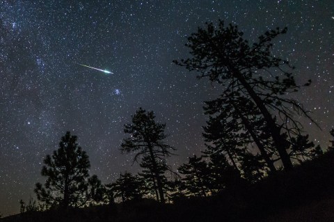 The New Orleans Sky Will Light Up With Shooting Stars And A Nearly Full Moon This Week