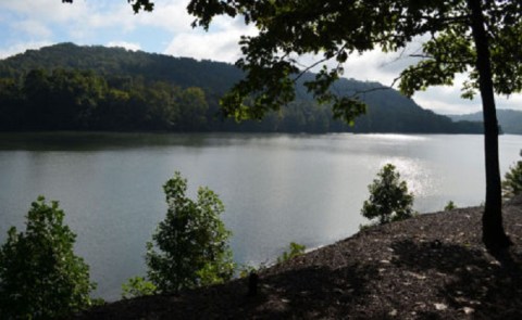 Hike Along The Greene River Trail Near Pittsburgh That Promises Plenty Of Natural Beauty