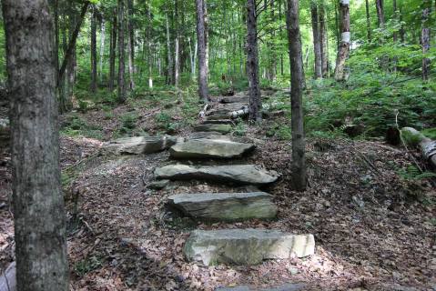 Hike This Stairway To Nowhere In Vermont For A Magical Woodland Adventure