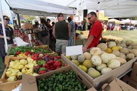 There's A Festival In Nevada Dedicated Entirely To Cantaloupe And It's A Treasured State Tradition