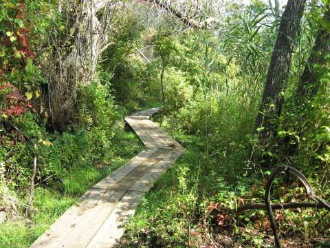 The Boardwalk Hike In Rhode Island That Leads To Incredibly Scenic Views