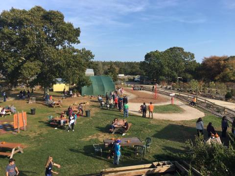 Rhode Island's Clark Farms Is Home To A Corn Maze, Gem Mine, And Petting Zoo