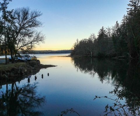 This Quirky Fish Themed Park Is The Most Washington Thing Ever