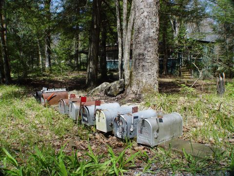 The Abandoned Town Of Elkmont In Tennessee Is A True Piece Of History