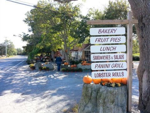 The Enormous Roadside Farmers Market In Rhode Island Is Too Good To Pass Up