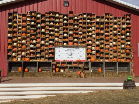 Cleveland's Caramel Apple Trail Is The Sweetest Way To Celebrate Fall