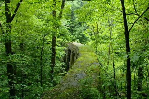 The West Virginia Forest Trail That Leads You To An Abandoned Dam Is Quite The Adventure