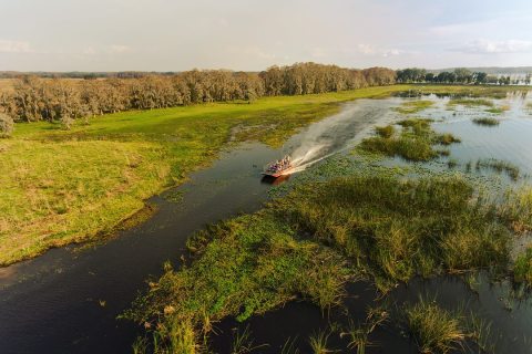 This Nighttime Swamp Tour Will Show You A Whole New Side Of Florida