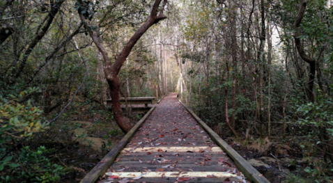 Sneak Away To These 11 Underrated Parks Near New Orleans For A Picture Perfect Afternoon