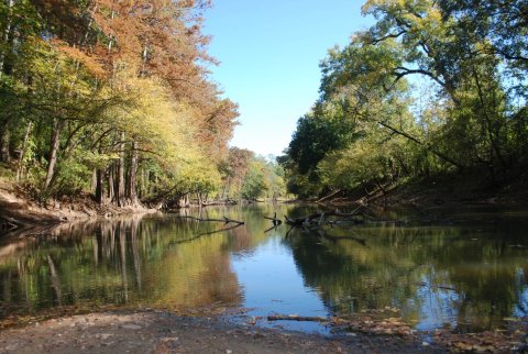 The Oldest State Park In Louisiana Will Make You Feel A Thousand Miles Away From It All