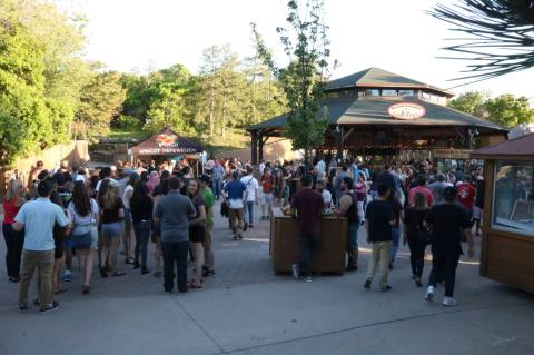 Explore Hogle Zoo After Hours At The Adults-Only Zoo Brew In Utah