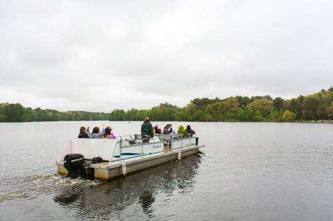 Take A Pontoon Boat Safari In Delaware For A Day Of Pure Fun