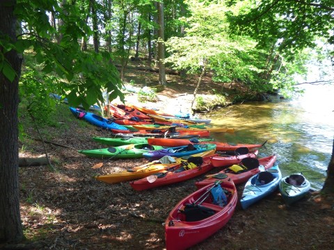 Hike This Island Trail For An Unexpected Adventure In Arkansas