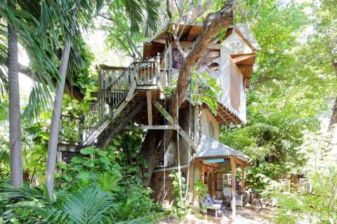 Spend The Night In A Private Treehouse In This Lush Urban Oasis In Florida