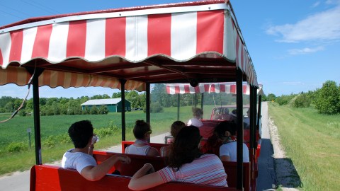 Hop Aboard Wisconsin's Cherry Train For Fun-Filled Tour Of Washington Island