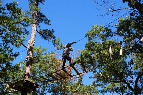 The Little-Known Treetop Adventure In New York That’s Hidden Away In The Mountains