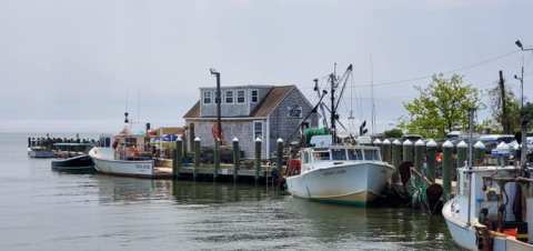 People Drive From All Over The State For The Lobster Rolls At The Guilford Lobster Pound In Connecticut