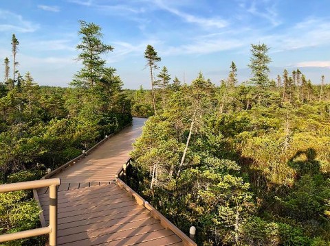 The Boardwalk Hike In Maine That Leads To Incredibly Scenic Views