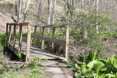 Boyce Park Log Cabin Trail, A 2.9-Mile Hike Near Pittsburgh, Takes You Through A Beautiful Wooded Area