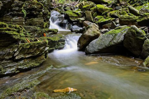 Slateford Creek Falls Trail In Pennsylvania Will Lead You Straight To The Lower Falls
