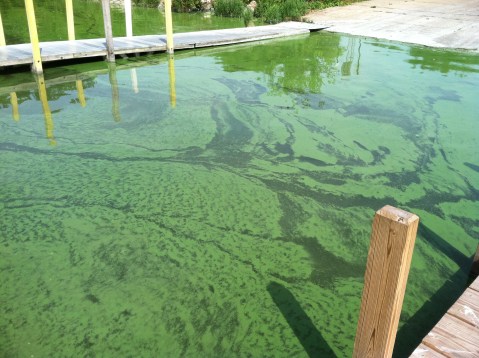 This Colorado Lake Was Just Shut Down Because Of Toxic Algae