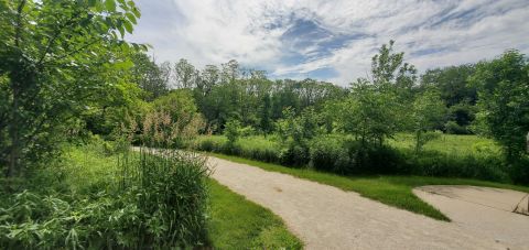 This Two-Mile Trail Through A 100-Acre Forest In Illinois Is Blissful Throughout The Year