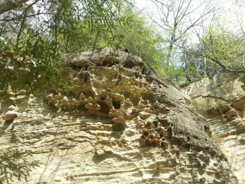 The Unique Rock Formation At Pine Hills Nature Preserve In Indiana That Looks Like A Honeycomb