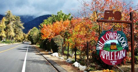 These 6 Charming Apple Orchards In Southern California Are Great For A Fall Day