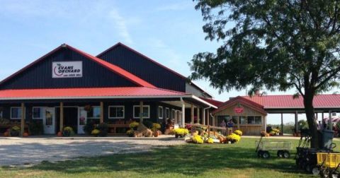 These 6 Charming Apple Orchards Near Cincinnati Are Picture Perfect For A Fall Day