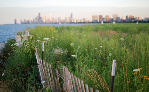 The Chicago Outerbelt Loop Trail In Illinois Lets You Hike All The Way Around America's Third Most Major City