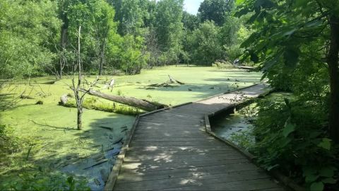 The Boardwalk Hike In Illinois That Leads To Incredibly Scenic Views