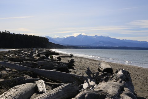 You'll Want To Spend More Time In This Historic Crabbing Village In Washington