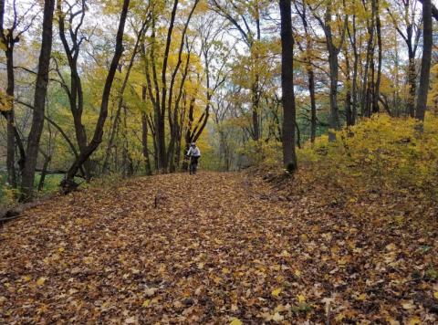 Spend The Night At South Dakota's Most Haunted Campground For A Truly Terrifying Experience